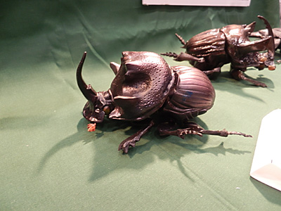 WF2012-summer-089.jpg