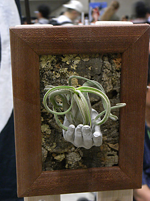 WF2012-summer-158.jpg