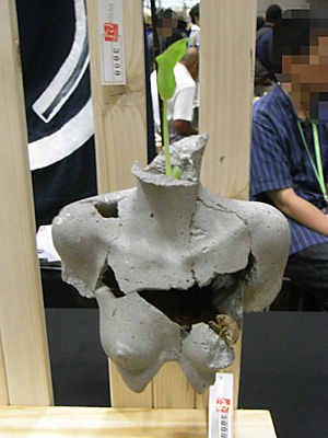 WF2012-summer-160.jpg