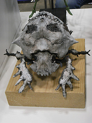 WF2012-summer-168.jpg