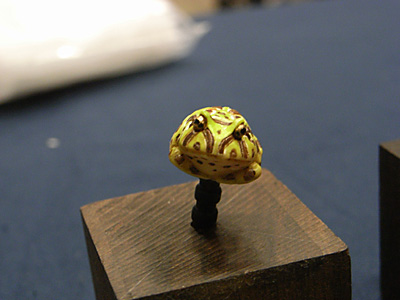WF2012-summer-245.jpg