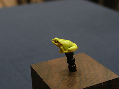 WF2012-summer-246.jpg