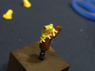 WF2012-summer-247.jpg