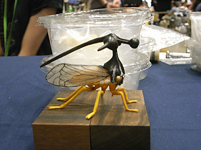WF2012-summer-248.jpg