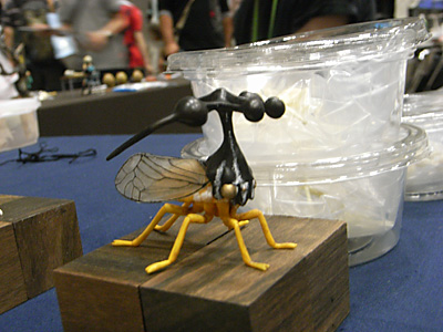 WF2012-summer-249.jpg