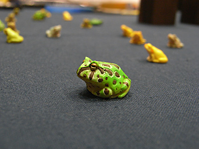 WF2012-summer-253.jpg