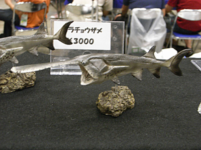 WF2012-summer-263.jpg