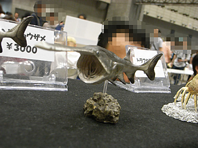WF2012-summer-264.jpg