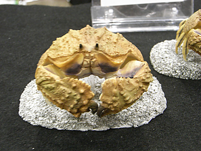 WF2012-summer-265.jpg