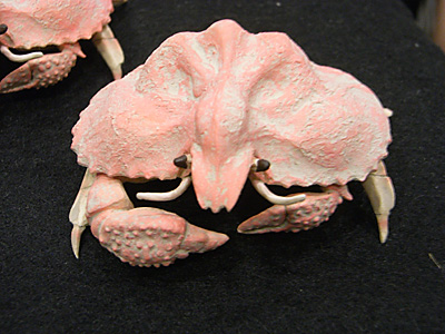 WF2012-summer-266.jpg