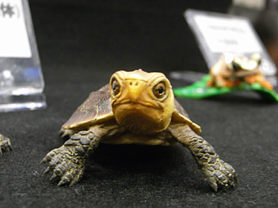 WF2012-summer-268.jpg
