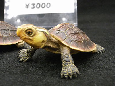 WF2012-summer-269.jpg