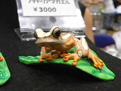WF2012-summer-270.jpg