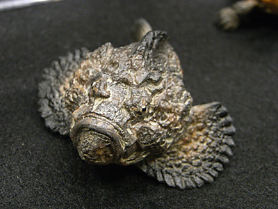 WF2012-summer-272.jpg