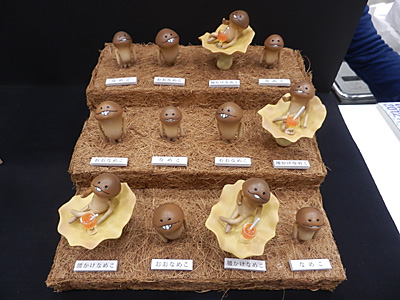 WF2012-winter-041.jpg