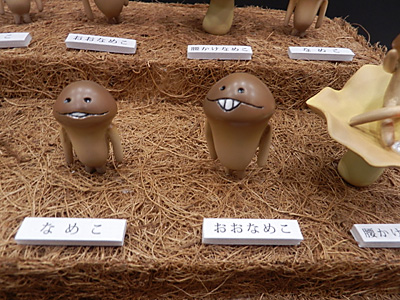 WF2012-winter-043.jpg