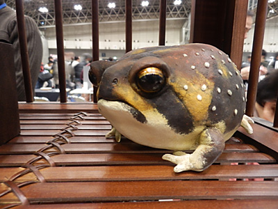 WF2012-winter-057.jpg
