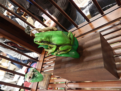 WF2012-winter-058.jpg