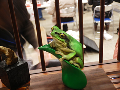 WF2012-winter-059.jpg