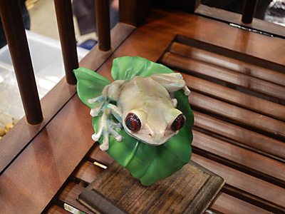WF2012-winter-061.jpg