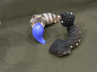 WF2012-winter-109.jpg