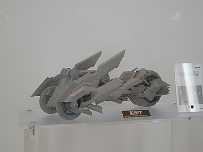 WF2012-winter-189.jpg