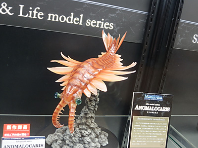 WF2012-winter-212.jpg