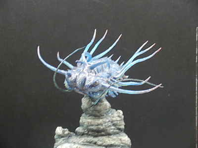WF2012-winter-213.jpg