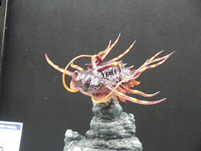 WF2012-winter-214.jpg