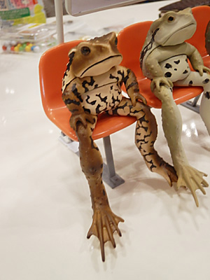 WF2013-summer-001.jpg
