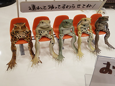 WF2013-summer-002.jpg