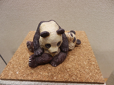 WF2013-summer-049.jpg