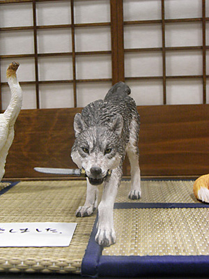 WF2013-summer-207.jpg