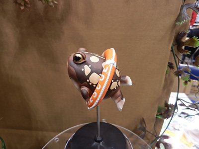WF2013-winter-031.jpg