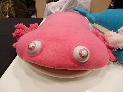 WF2013-winter-048.jpg