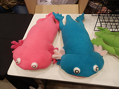 WF2013-winter-049.jpg