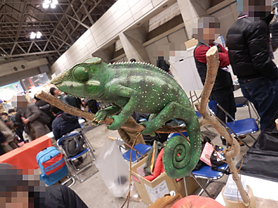 WF2013-winter-061.jpg