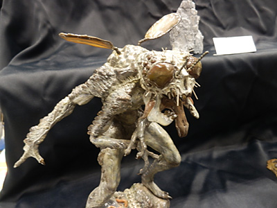 WF2013-winter-093.jpg