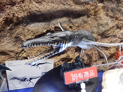 WF2013-winter-102.jpg