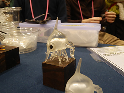 WF2013-winter-104.jpg