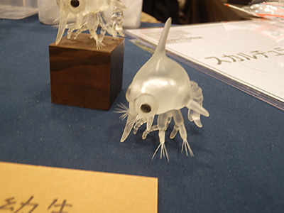 WF2013-winter-105.jpg