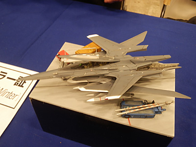 WF2013-winter-120.jpg