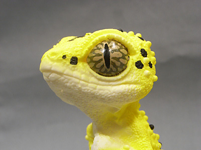 WF2013-winter-129.jpg