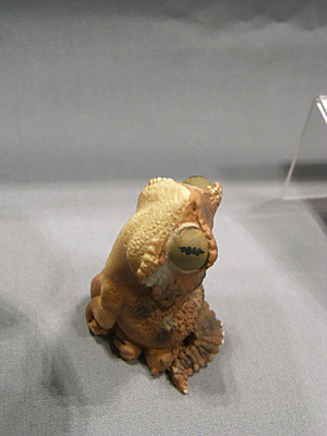WF2013-winter-131.jpg