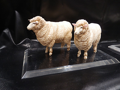 WF2014-summer-029.jpg