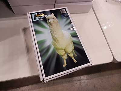 WF2014-summer-030.jpg