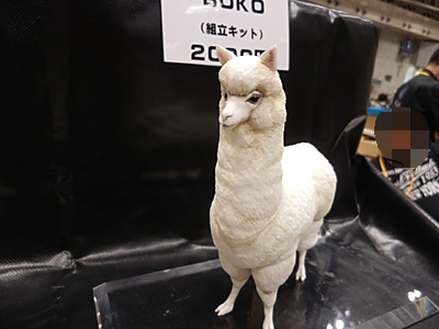 WF2014-summer-031.jpg