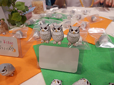 WF2014-summer-050.jpg