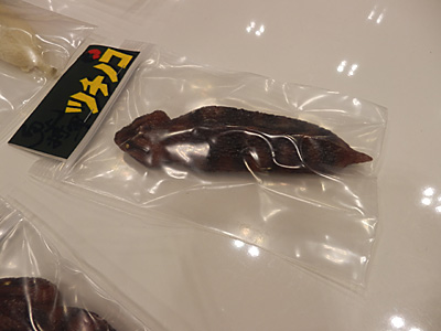 WF2014-summer-151.jpg