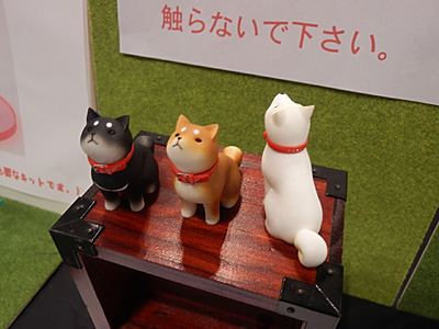 WF2014-summer-206.jpg